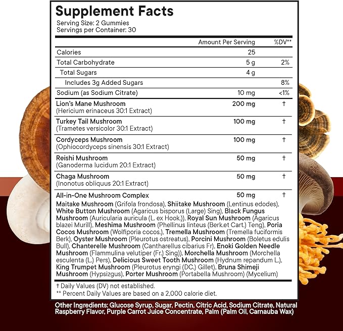 NEW AGE Mushroom Lion's Mane Supplement Gummies - Comprehensive Mushroom Supplement with Reishi, Cordyceps - 180 Count