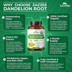 Zazzee USDA Organic Dandelion Root 10:1 Extract, 120 Capsules, 4 Month Supply, Liver & Detox Support, Taraxacum Officinale, Organic Herbal Supplement, All-Natural, Non-GMO, Made in the USA