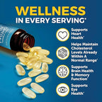 Viva Naturals Omega 3 Fish Oil Supplement for Women and Men - 2500 mg Triple Strength Fish Oil Pills with Re-Esterified Omega 3 Fatty Acids Including EPA, DHA DPA - 240 Pescatarian-Friendly Softgels