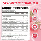 Iron Gummies for Women, Men & Kids, Vegan Iron Supplement with Vitamin C, B12, Folate for Energy Support & Immune Health, Sugar Free, 60 Gummies (Pack of 2)