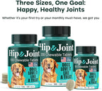 Natureflow Hip & Joint Supplement for Dogs, 300mg Green-Lipped Mussel for Dog Arthritis Pain Relief, Glucosamine, MSM & Chondroitin, Zero Sugar, Large Medium Small Breeds, 100 Chewable Tablets
