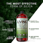 Living Silica ORGONO Plant-Based Collagen Booster | Horsetail Extract & Rosemary | Supports Collagen & Elastin for Joint & Bone Health, Glowing Skin, Strong Hair & Nails | 33.85 Fl Oz