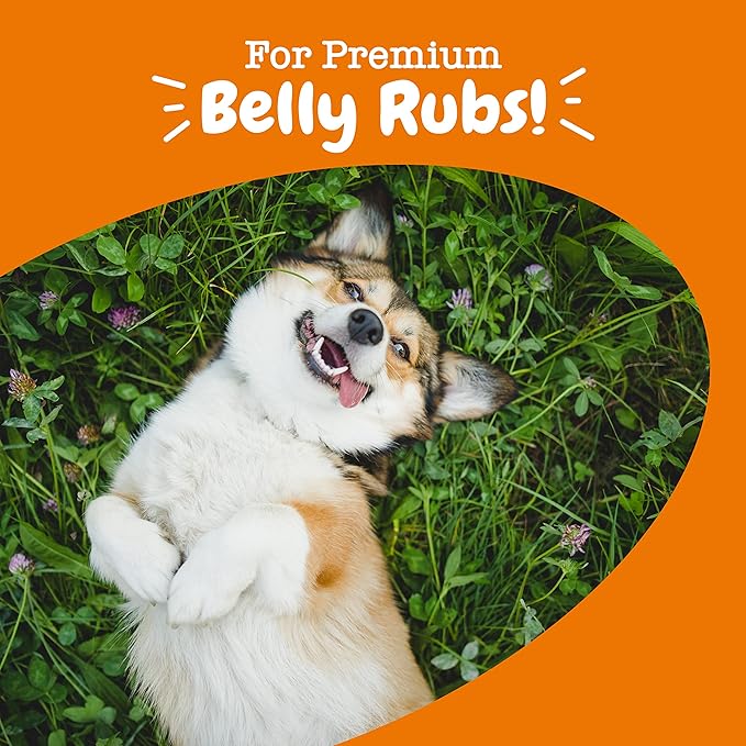 Zesty Paws Probiotics for Dogs, Digestive Enzymes Gut Flora, Digestive Health, Diarrhea & Bowel Support, DE111, Dog Probiotic Soft Chew for Pet Immune System, Pumpkin, 250 Ct
