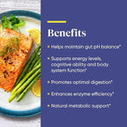 Enzymedica, pH-Basic, Includes Digestive Enzymes, Nutrients & Herbs, Supports Healthy Digestion & pH Balance, 90 Count - FFP