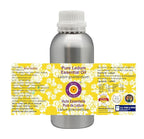 Deve Herbes Pure Ledum Essential Oil (Ledum groenlandicum) Steam Distilled 300ml (10 oz)