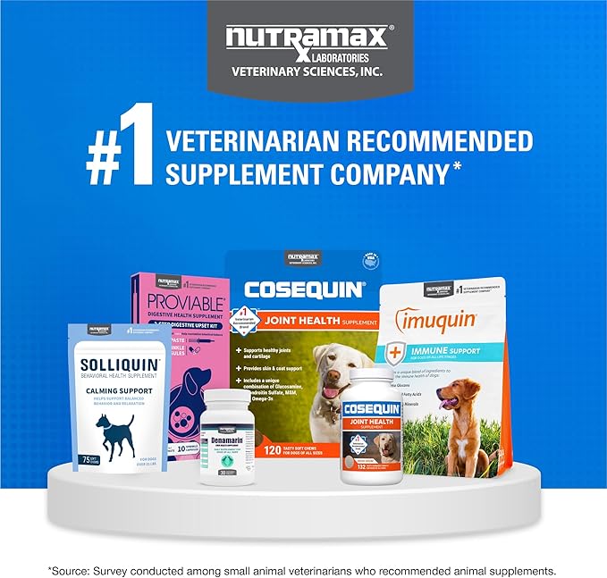 Nutramax Cosequin for Dogs Joint Health Supplement, Contains Glucosamine for Dogs, Plus Chondroitin and MSM, Supports Healthy Joints, Chewable Tablets, 60 Count