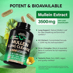 Mullein Lung Detox - Mullein Leaf Extract - Marshmallow Root | Echinacea | Oregano | Quercetin | NAC - 15-in-1 Lung Support & Cleanse for Smokers Supplement - Made in USA - As Drops - 60 Capsules