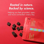 KA Kanna Daily Chews, Kanna Extract 30mg, Plant-Based Mood & Relaxation Support with Focus, Natural Herbal Supplement Alternative to Gummies, Sugar-Free, Vegan, Gluten-Free, 30 Count - Wildberry Mint