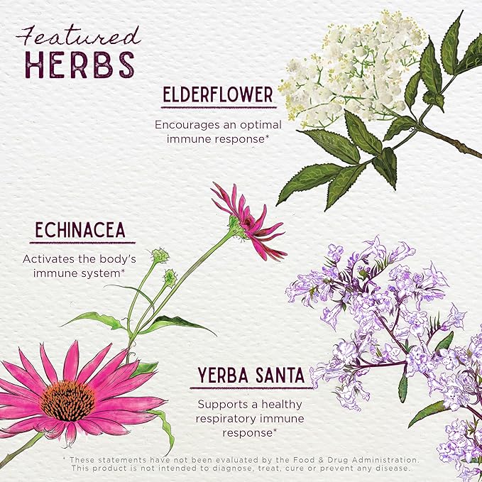 WishGarden Herbs Kick-Ass Immune Liquid Herbal Immune Support Supplement – Echinacea & Goldenseal with Elderflower (Sambucus Nigra) – Herbal Immunity Boost & Lymphatic Support Drops – Vegan – 4 oz