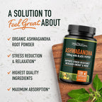 Ashwagandha Supplement 1300mg for Stress Resistance & Energy Boost | High Absorption Adaptogen from Root Powder with Black Pepper | Stress-Related Fatigue Support | Non-GMO | 120ct, 2-Month Supply