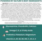 12-in-1 Dog Multivitamin Soft Chews, 120 Count - Vitamins & Supplements, Glucosamine Chondroitin, Probiotics, Omega 3 - Hip & Joint, Skin & Coat, Immune Support for Puppy & Senior Dogs - Chew + Heal
