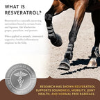 Equithrive Original Joint Supplement Powder with Resveratrol and Hyaluronic Acid for Horses, Equine Care, Molasses Flavor, 2 lbs