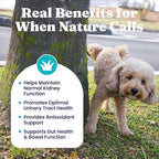 New Solid Gold Cranberry Supplement for Dogs for Urinary Tract Health - UTI + Bladder + Kidney Support for Dogs of All Life Stages w/Antioxidants (3.5 Ounce Powder, Smoked Bacon)