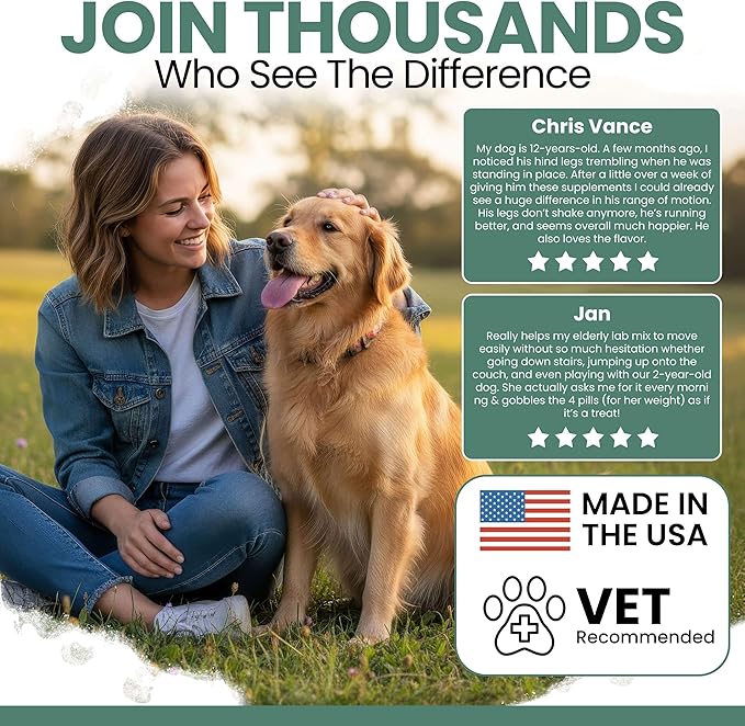 Chew + Heal Labs Glucosamine for Dogs Hip and Joint Supplement - 240 Senior Dogs Mobility Soft Chews - Made with Glucosamine, MSM, Chondroitin, Green Lipped Mussels and More - Made in The USA