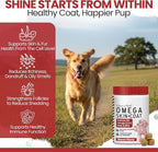 Omega for Dogs - 180 Delicious Soft Chews - Salmon Oil Treats for Skin and Coat, Itch Relief - Fish Oil Blend of Essential Fatty Acids, Omega 3, 6, and 9, and Vitamins - Smoked Bacon Flavor