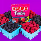 HARIBO Gummi Candy, Berries Gummy Candy, 5 Ounce Share Size Bags (Pack of 12) Delicious Soft & Crunchy, Chewy Sweet Snacks, Red & Black Berry Fruit Flavor