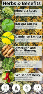 Natural Energy Pills – Caffeine Free – Mental Booster – with Rhodiola Rosea, Dandelion Root, Bacopa, Ginseng Extract – 7 Herbs & Absorption Enhancing Piperine – Vegan, Non-GMO, 60 Ct