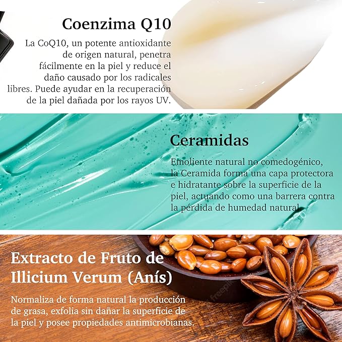 Purifect Smoothing Coenzyme Q10 Facial Serum for Anti Aging - Wrinkle & Fine Line Support for All Skin Types, Hydrating Face Serum with Vitamin E, Ceramide NP & Anise Extract, Made in USA - 1 fl oz