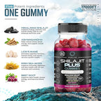 Shilajit Plus Gummies – 5-in-1 Adaptogen Energy & Focus Supplement | Shilajit, Ashwagandha, Lion’s Mane, Sea Moss & Beet Root | Natural Energy & Stress Support | Made in USA, Vegan, 60ct