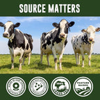 Beef Organ Supplement Grass Fed - 7 Beef Organs Complex from New Zealand - Liver Heart Pancreas Kidney Lung Spleen Bone Marrow - Non-GMO, No Fillers, Hormone & Antibiotic Free - Carnivore Diet - 360ct