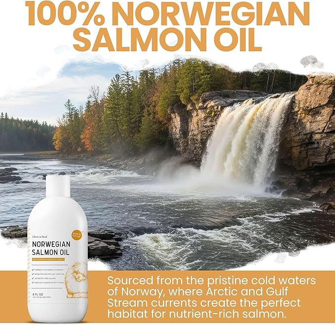 Salmon Oil for Dogs - 64 oz Liquid - Premium Fish Oil for Skin and Coat Health - Omega 3 Supplement - Supports Itchy Skin - Norwegian Dog Salmon Oil - Essential Dog Supplement