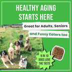 Dog Vitamins + Glucosamine - Chewable Multivitamins + Probiotics, Omega - Hip & Joint Support, Skin & Coat, Gut Health - Adult & Senior - Large & Small Breed - 240 Chews