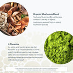 Youtheory Mushroom Stress Complex - 6 Mushroom Blend - Stress Management Support* - Immune Support - L-Theanine Supplement - Dairy, Soy & Gluten Free - 60 Vegetarian Capsules