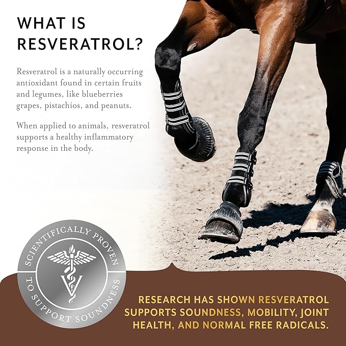 Equithrive Original Joint Supplement Pellets with Resveratrol and Hyaluronic Acid for Horses in Training and Competition and Senior Horses, 1.65 lbs
