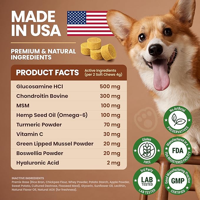 Glucosamine for Dogs Hip & Joint Supplement, Dog Glucosamine Chondroitin for Dogs, MSM & Turmeric – 120 Dog Joint Supplement Chews for Large & Small Breed