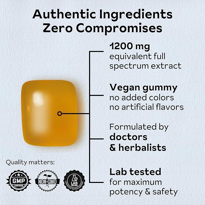 Reishi Mushroom Gummies | Hongo Reishi Mushroom Supplement Gummies (Lingzhi, Ganoderma Lucidum) | Full Spectrum Stress Gummies for Adults | Red Reishi Mushroom | Strawberry Flavor | 45 Count