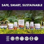 Host Defense Mushrooms Lion's Mane Gummies - Brain Health Support - Mushroom Supplement to Support Focus & Memory Function - Immune & Nervous System Support - Blueberry, 90 Gummies*