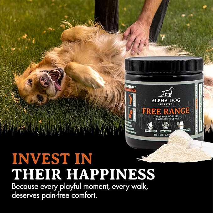 Alpha Dog Nutrition Free Range Dog Hip & Joint Supplement Powder with Glucosamine, Chondroitin, MSM - Hip & Joint Support for All Breeds