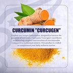 Curcumin Extract - Turmeric Supplement - High Absorption Curcuma for Immune Health Support & Joint Health - Standartized Curcuminoids - Vegan, Gluten Free - 30 Capsules