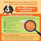 Bernie's Healthy Hips - Daily Dog Hip & Joint Supplement - 90 Soft Chews - Reduce Pain, Encourage Mobility, Slow Damage, Repair and Rebuild Hips & Joint Tissues