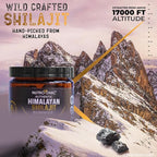 Organic SHILAJIT Gummies by NutroTonic | Cane Sugar Free, Sweetened by Organic Manuka Honey | Clean Formula | Natural Fulvic & Humic Acid | Heart & Brain, Cellular Health | 30 Healthy Gummies (1)
