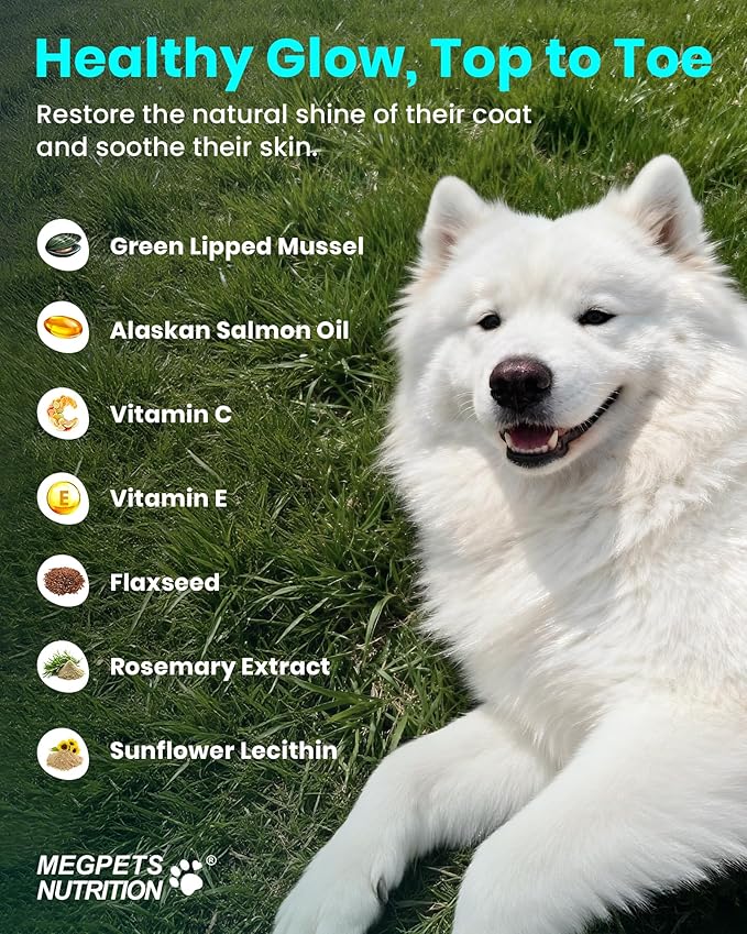 NAD+ Glucosamine for Dogs Hip and Joint Supplement - 300 Soft Chews - Advanced Mobility Support with MSM, Chondroitin, Resveratrol & CoQ10 - Healthy Aging & Vitality