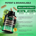 Mullein Leaf Extract for Lung Detox - Marshmallow Root | Echinacea | Oregano | Quercetin | NAC - 15-in-1 Lung Support & Cleanse for Smokers Supplement - Made in USA - As Drops, Tincture - 120 Capsules
