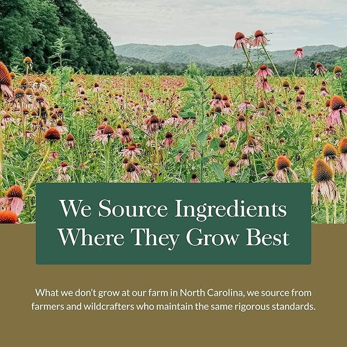 Gaia Herbs Turmeric Supreme Adult Daily - Daily Support for Healthy, Active Lifestyle* - USDA Certified Organic Blend of Turmeric & Supportive Herbs - 40 Vegan Gummies (20 Servings)