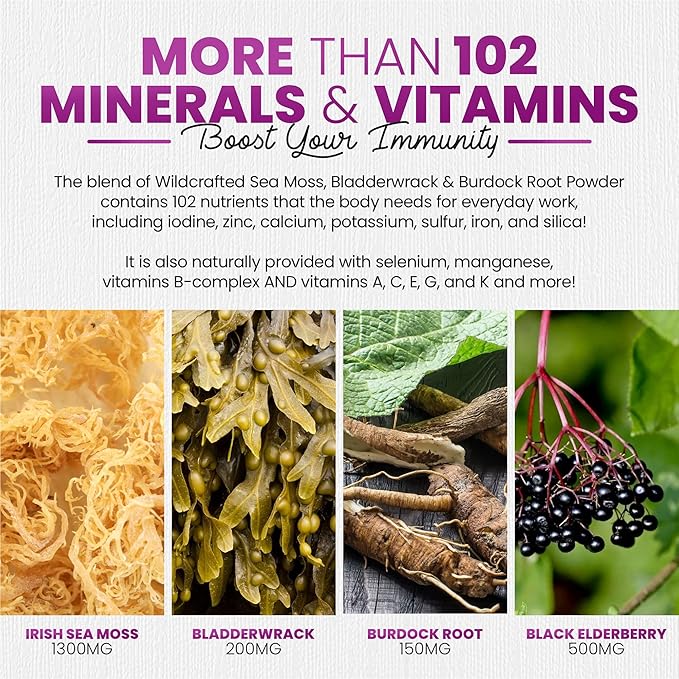 Sakoon nutrition Irish Sea Moss Gummies with Elderberry & Black Seed Oil - Overall Wellness Support | Rich in Vitamins, Raspberry Flavor | 60 Gummies