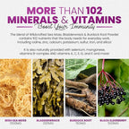 Sakoon nutrition Irish Sea Moss Gummies with Elderberry & Black Seed Oil - Overall Wellness Support | Rich in Vitamins, Raspberry Flavor | 60 Gummies