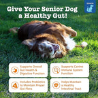 Zesty Paws Probiotics for Dogs - Digestive Enzymes for Gut Flora, Digestive Health, Diarrhea & Bowel Support - Clinically Studied DE111 - Dog Supplement Soft Chew for Pet Immune System - Adv, 90ct