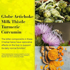 NEW NORDIC Active Liver 90-Day Supply, Daily Liver Supplement, Milk Thistle, Artichoke & Turmeric, 90 Tablets