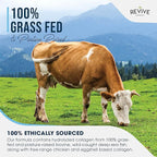Revive Naturals Multi Collagen Hydrolyzed Protein Powder (16oz) - Types I, II, III, V & X - Grass Fed Bovine, Wild Caught Marine, Free Roaming Chicken & Eggshell Collagen Peptides,