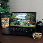 Southern Style Nuts Gourmet Hunter Mix, 23 Ounces, Sesame Sticks, Peanuts, Sunflower Kernels, Almonds, Cashews, and Pepitas (Pack of 2)