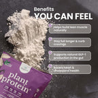 nbpure Vegan Pea Protein Powder, Vanilla – Lean Muscle + Hunger & Bloating Support for Women, Men, Kids – 25g Plant Protein Per Serving – No Artificial Sweeteners or Flavors, Gusset, 25 Servings
