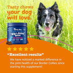 Zesty Paws Mobility Bites Joint Supplement for Dogs - Soft Chews with Glucosamine for Dogs, Chondroitin, & MSM + Vitamins C and E - Adv Chicken - 90 Count