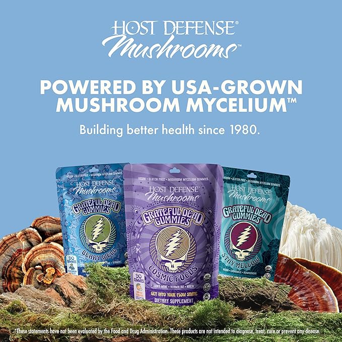 Host Defense Beary Well Grateful Dead Gummies - Mushroom Gummies with Agarikon, Turkey Tail, Chaga, Elderberry, Vitamin C & Zinc - Upper Respiratory System Health and Immune Support (30 Servings)