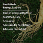Immune + Energy Syrup, Herbal Formula with Ashwagandha, Echinacea, Astragalus and Ginseng, High Absorption, Easy to Take, Caffeine-Free - 6.7 Fl oz (40 Servings)