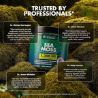 Secret Element Sea Moss Gummies for Women and Men, Irish Sea Moss with Bladderwrack & Burdock Root, Vegan Sea Moss Gummies, Sugar Free, Non-GMO, Apple Flavor, 60 Gummies