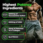 Species Nutrition Arthrolyze Joint Repair Supplement, Fortified with UC-II Collagen, MSM, Glucosamine, Chondroitin, High Potency Connective Tissue & Joint Support (300 Capsules)